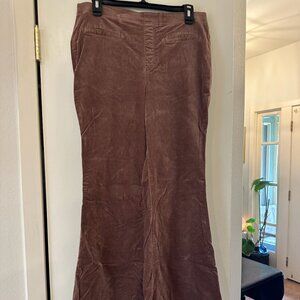 Pilcro Pants 31P